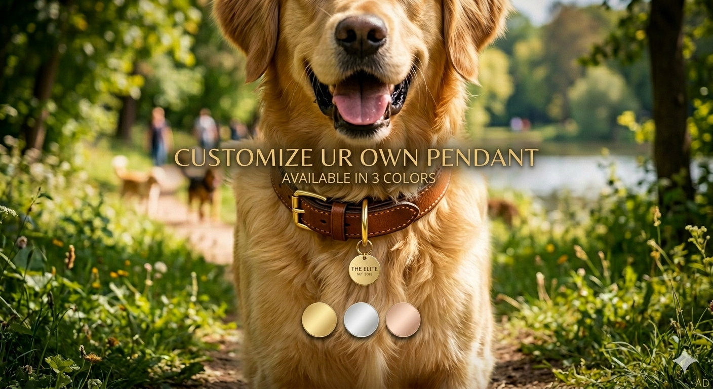 Customizable pendant for collars
